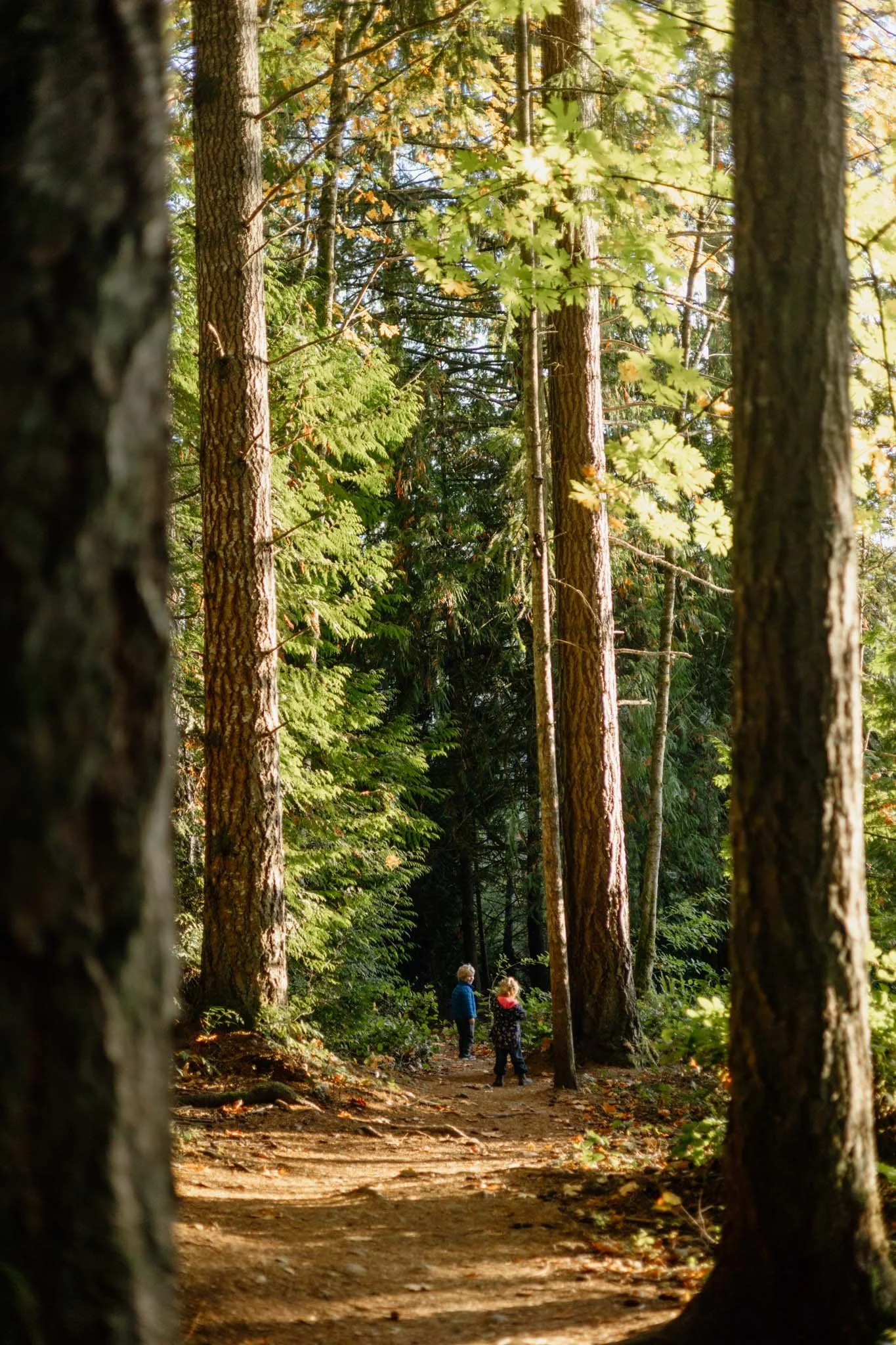Ourkids_Octleaves-60.jpg