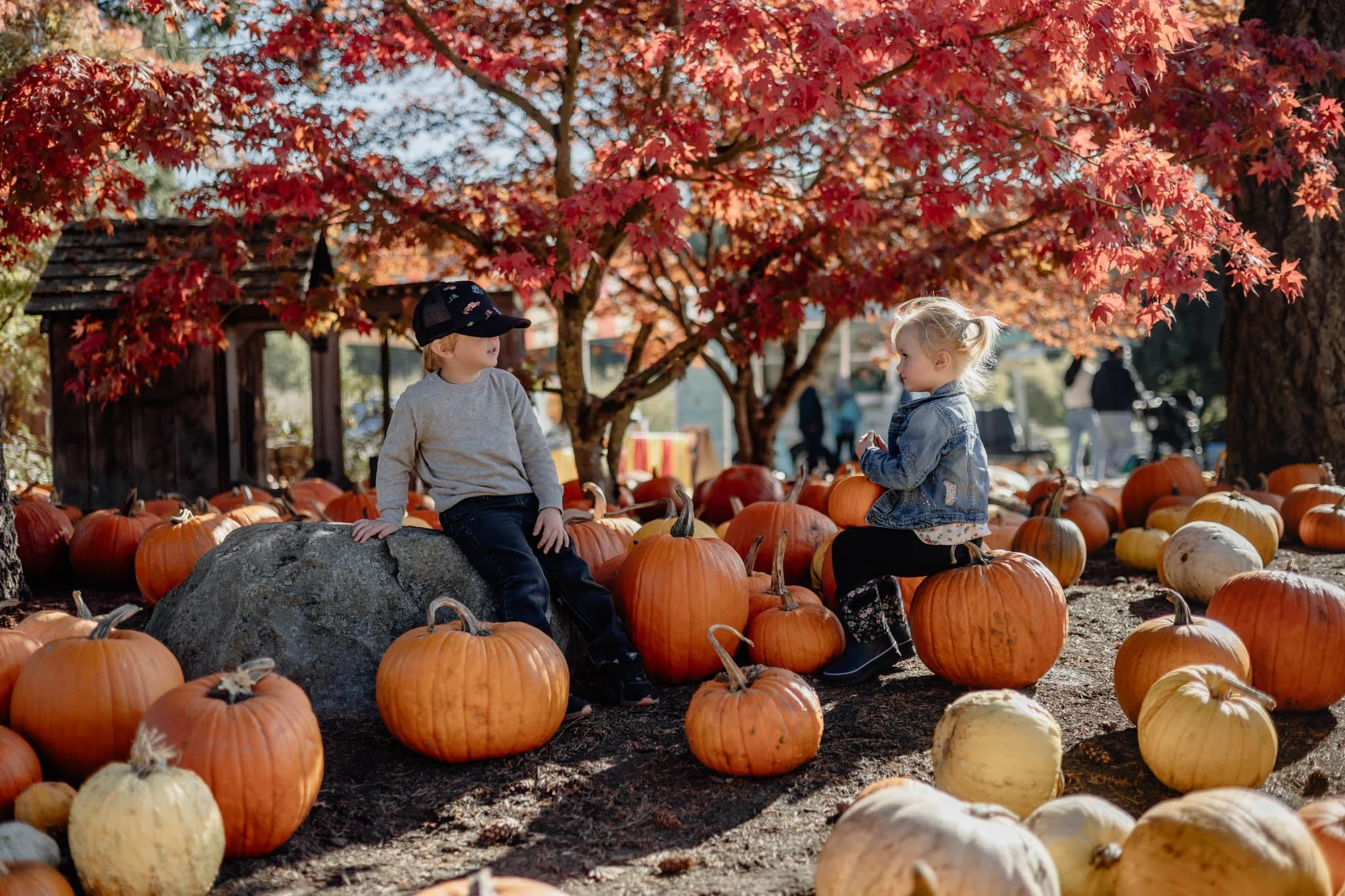Ourkids_Pumpkins-17.jpg
