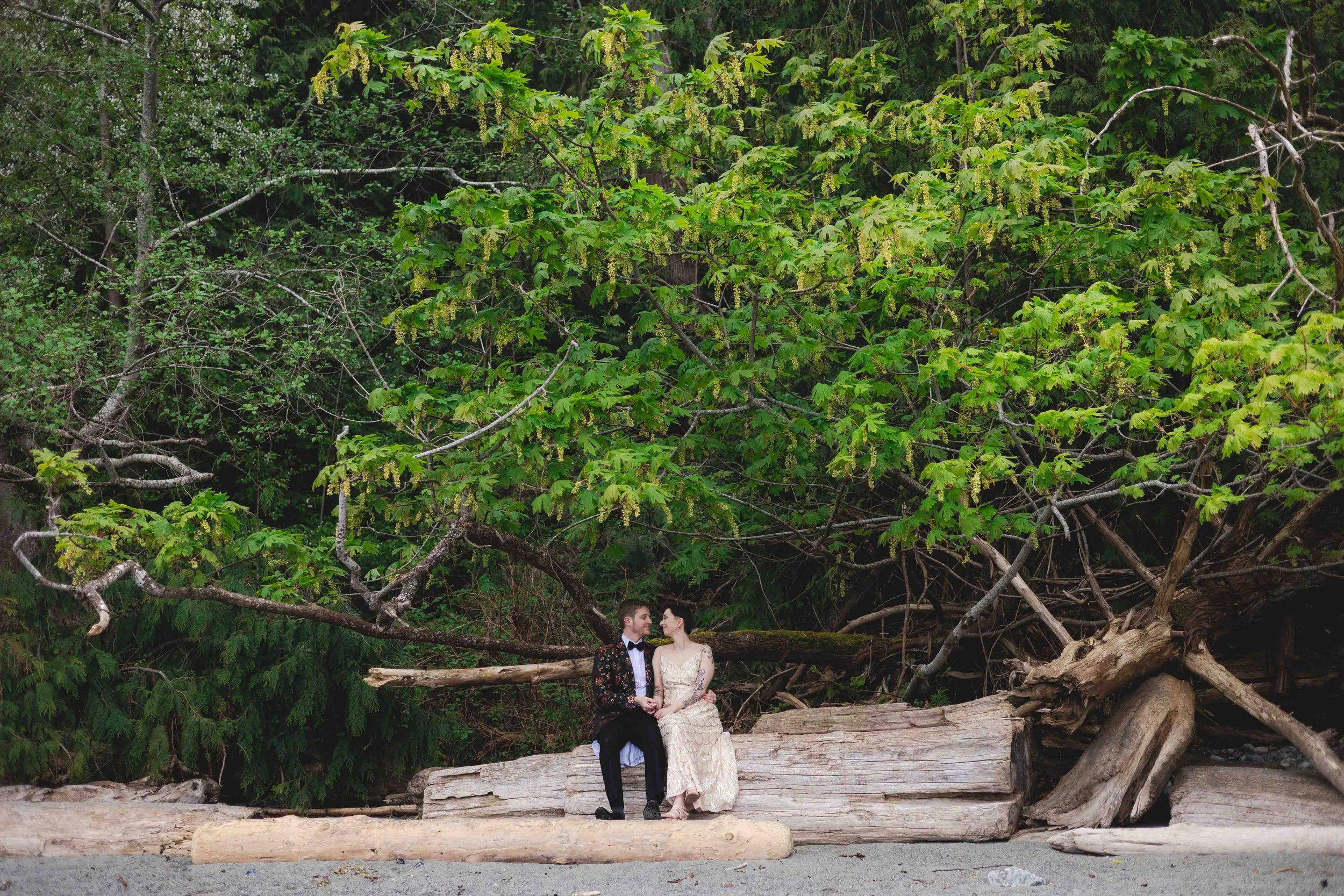 A couple dressed in wedding attire sitting on a large driftwood log on a sandy beach in Nanaimo while celebrating their Elopement, with a lush green forest behind them.