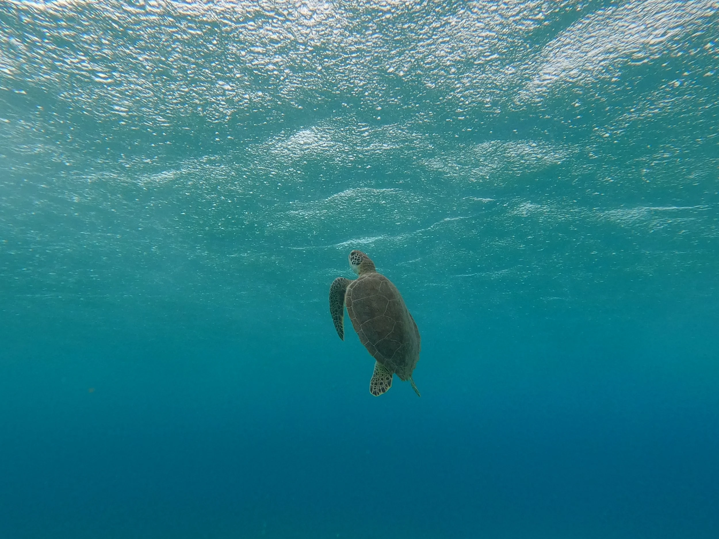 GOPR0743.JPG