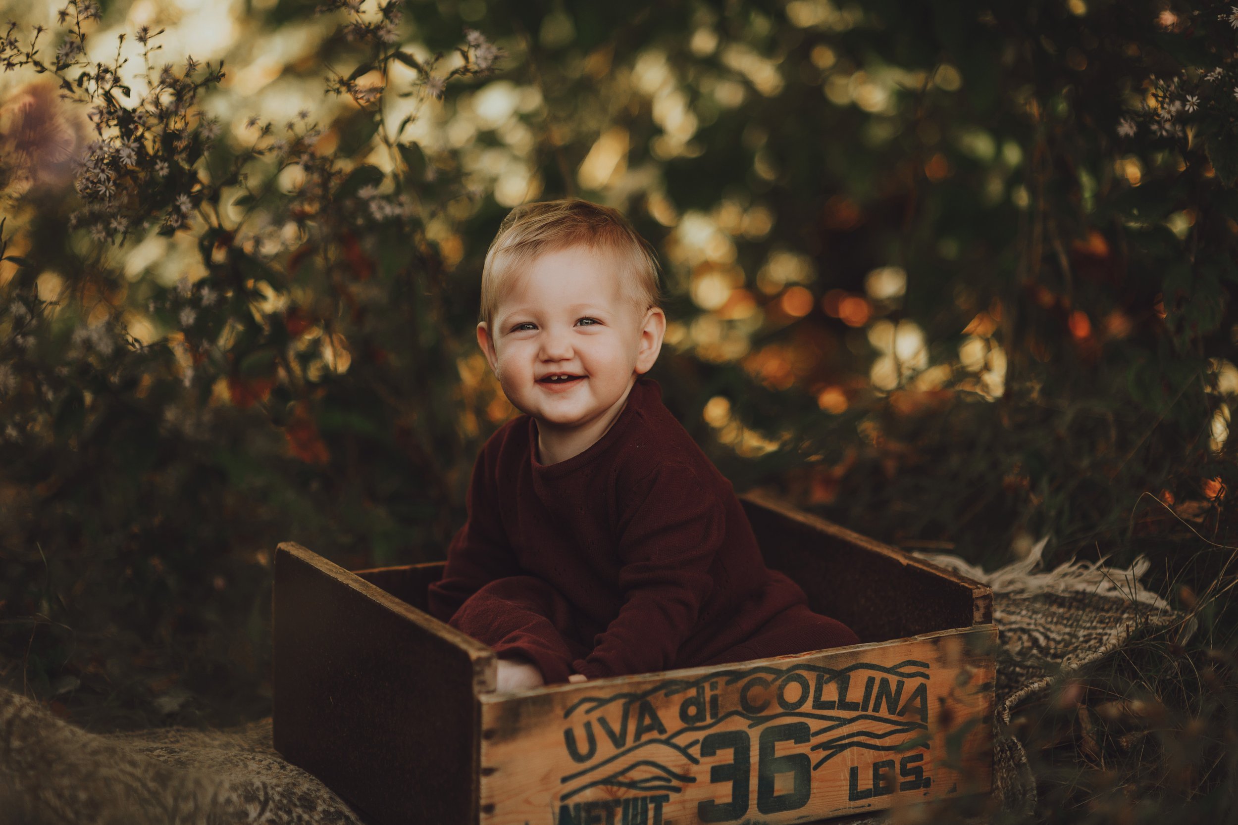 Montreal-fall-photography-family-photos-19.jpg