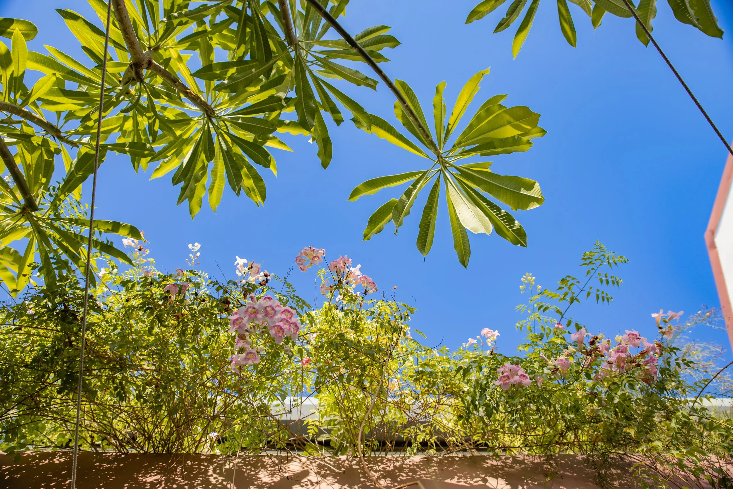 Sous le Soleil Exactement55.jpeg