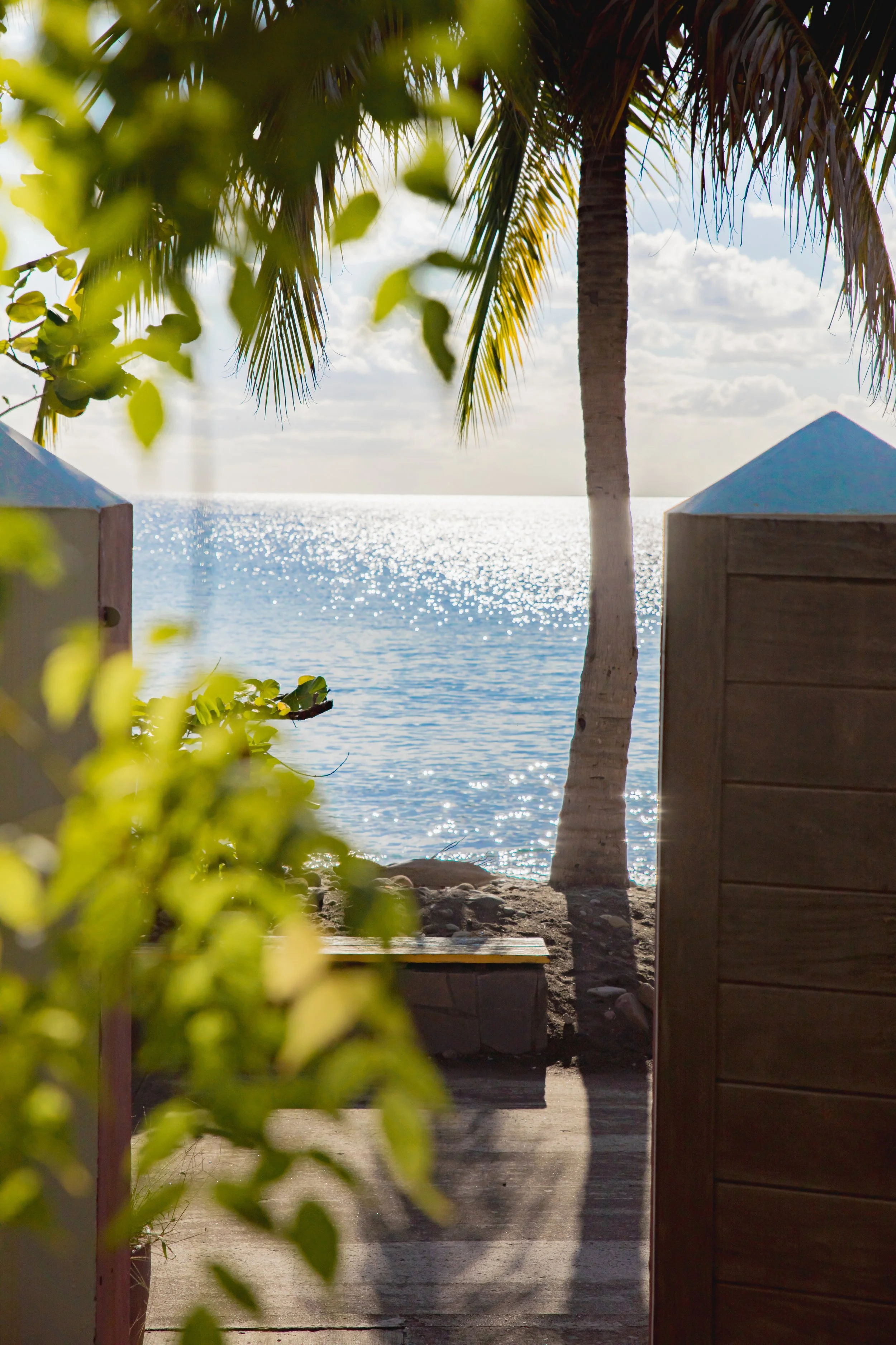 Sous le Soleil Exactement18.jpeg