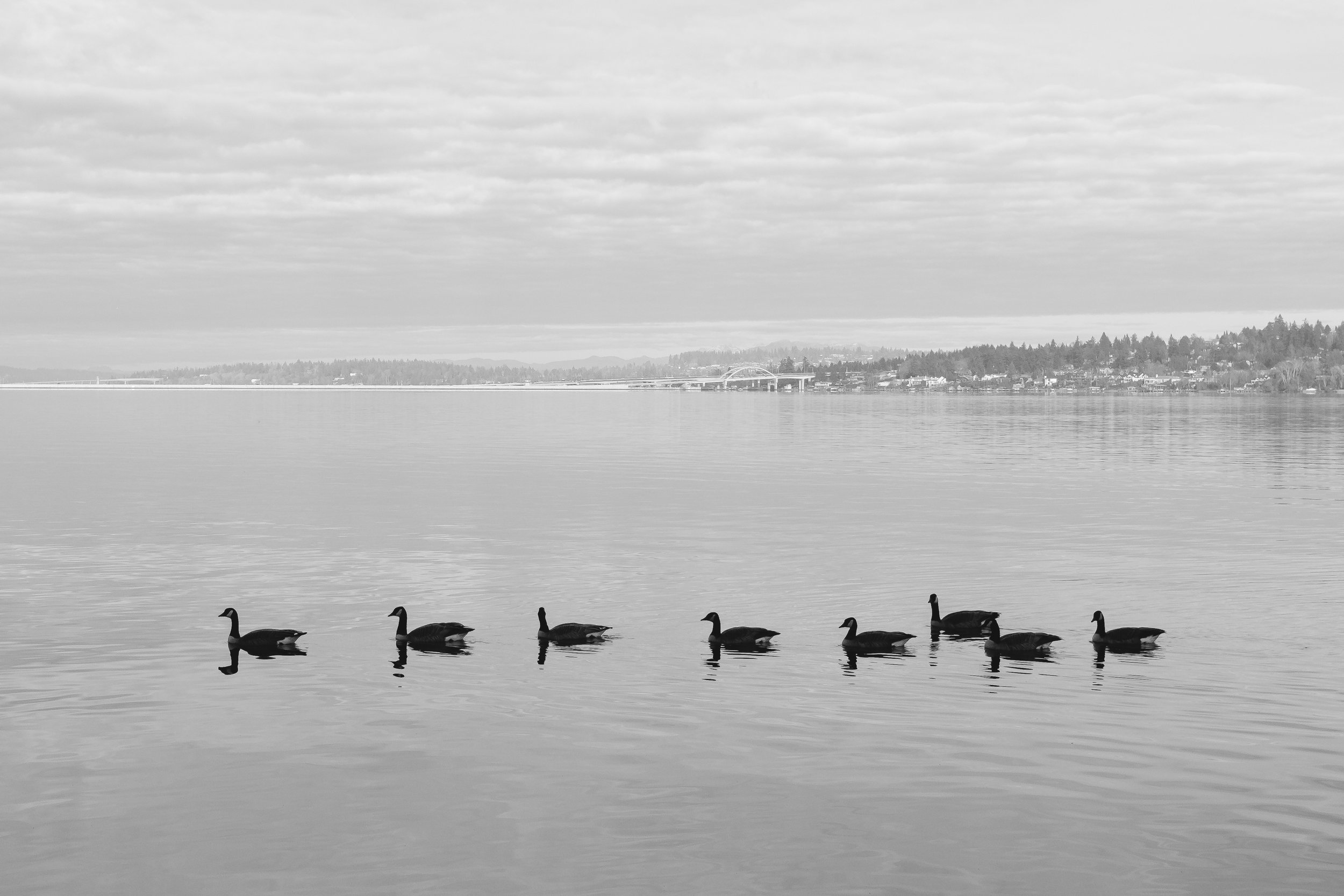 Photo of the Day: Lake Washington on New Year’s Day.