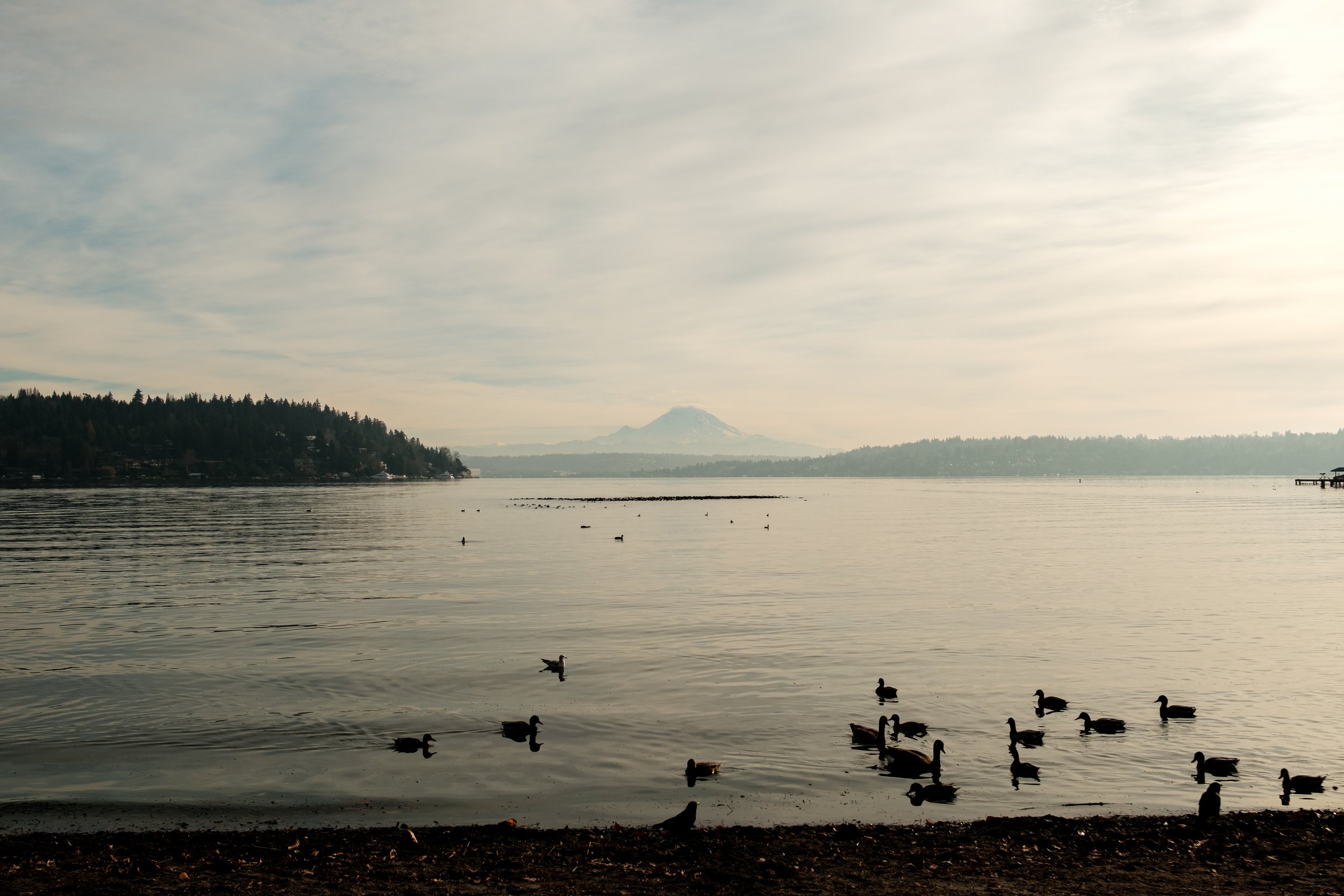 Photo of the Day: A serene Mt. Rainier