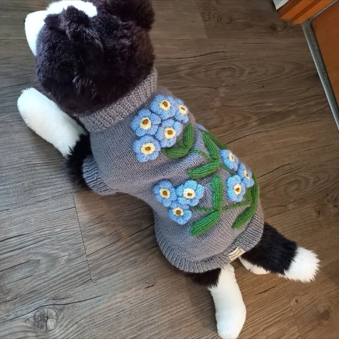 Creator Annie from EweHueNZ has knitted this adorable dog jacket featuring forget-me-not flowers which have long been associated with dementia mate wareware.

&quot;My father's journey with the disease was rough and not very pretty at times. For him,