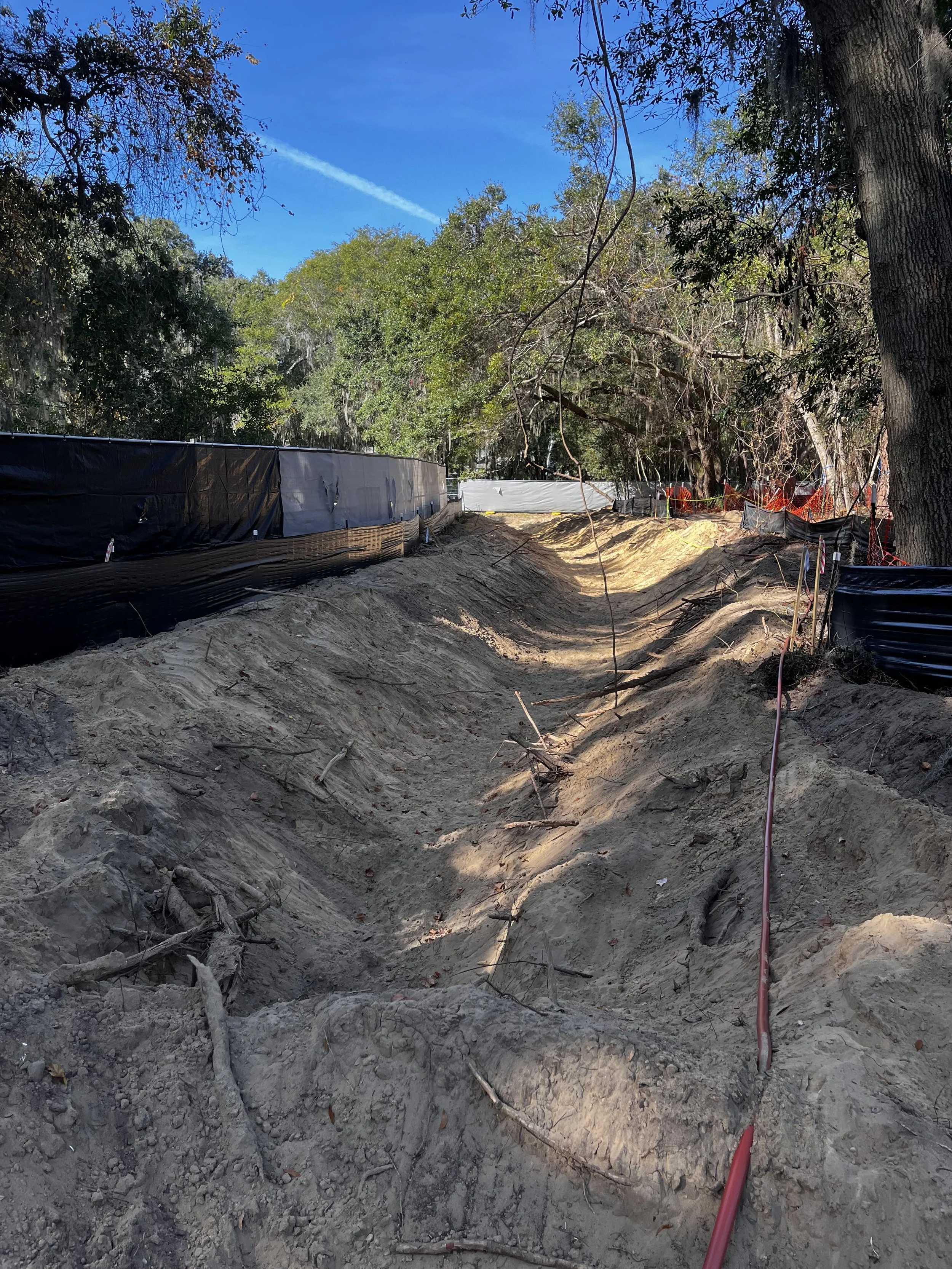 Photo Nov 19 2025, 1 37 19 PM.jpg