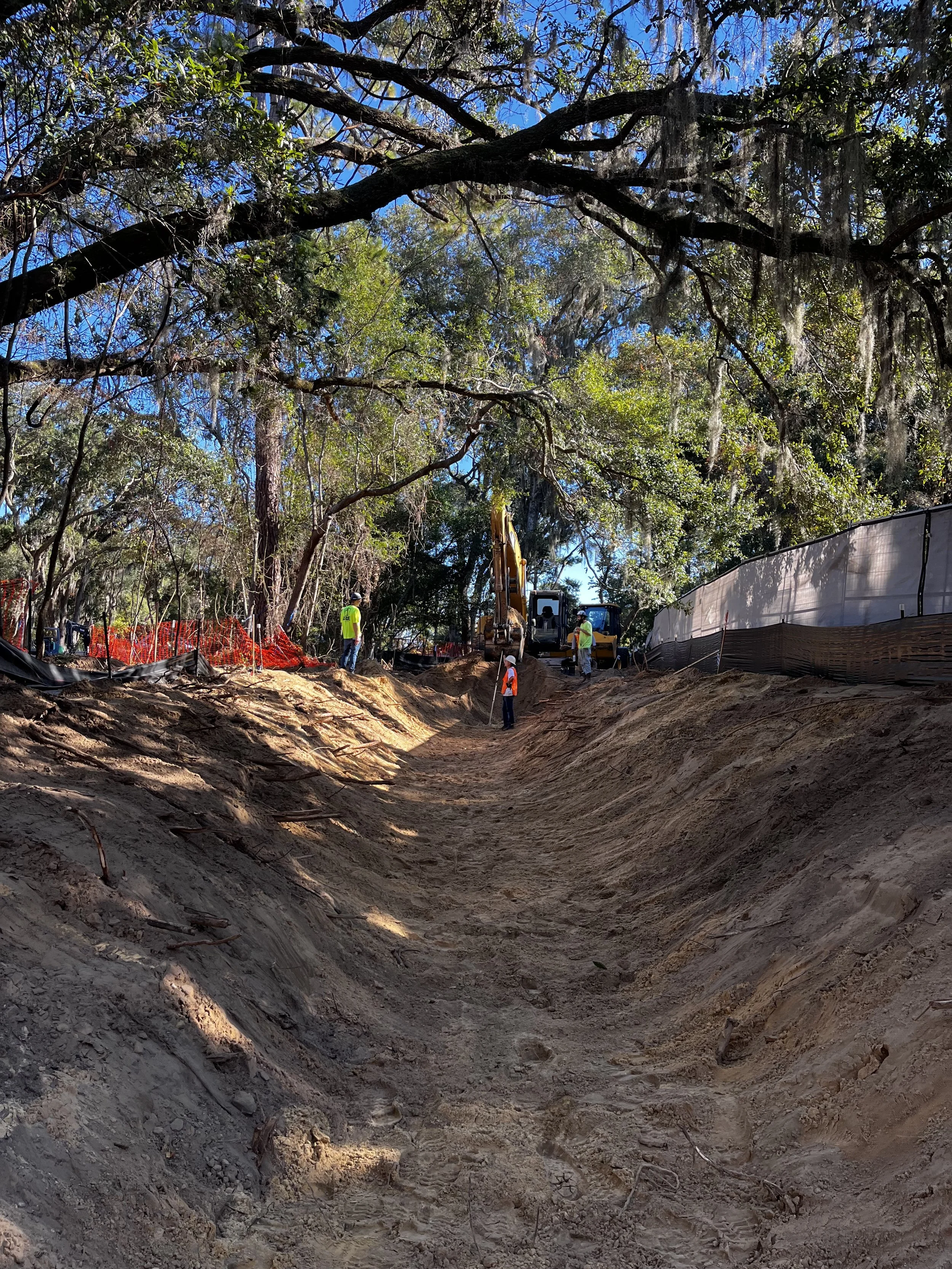 Photo Nov 17 2025, 2 28 29 PM.jpg