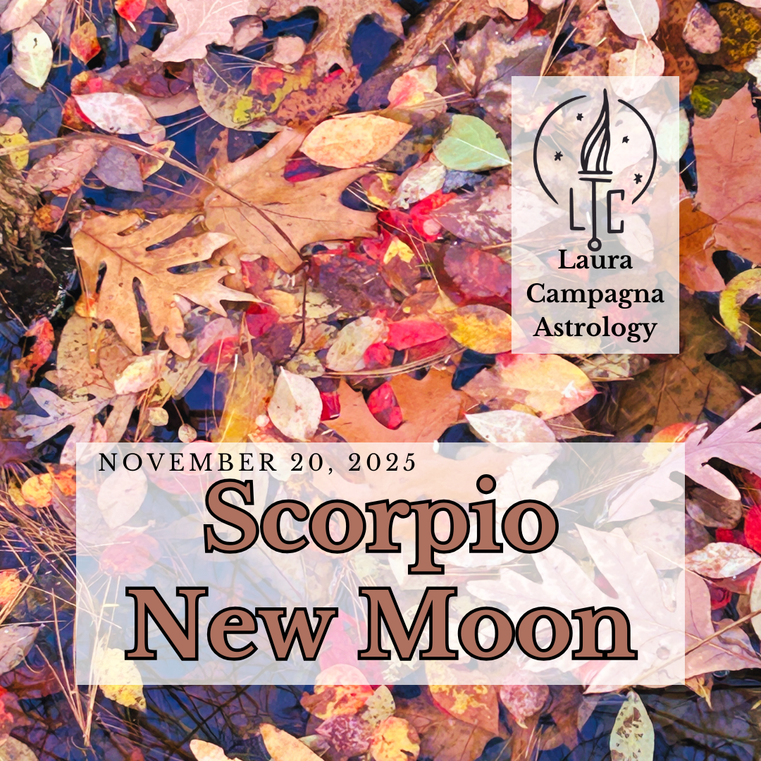 November 20: Scorpio New Moon