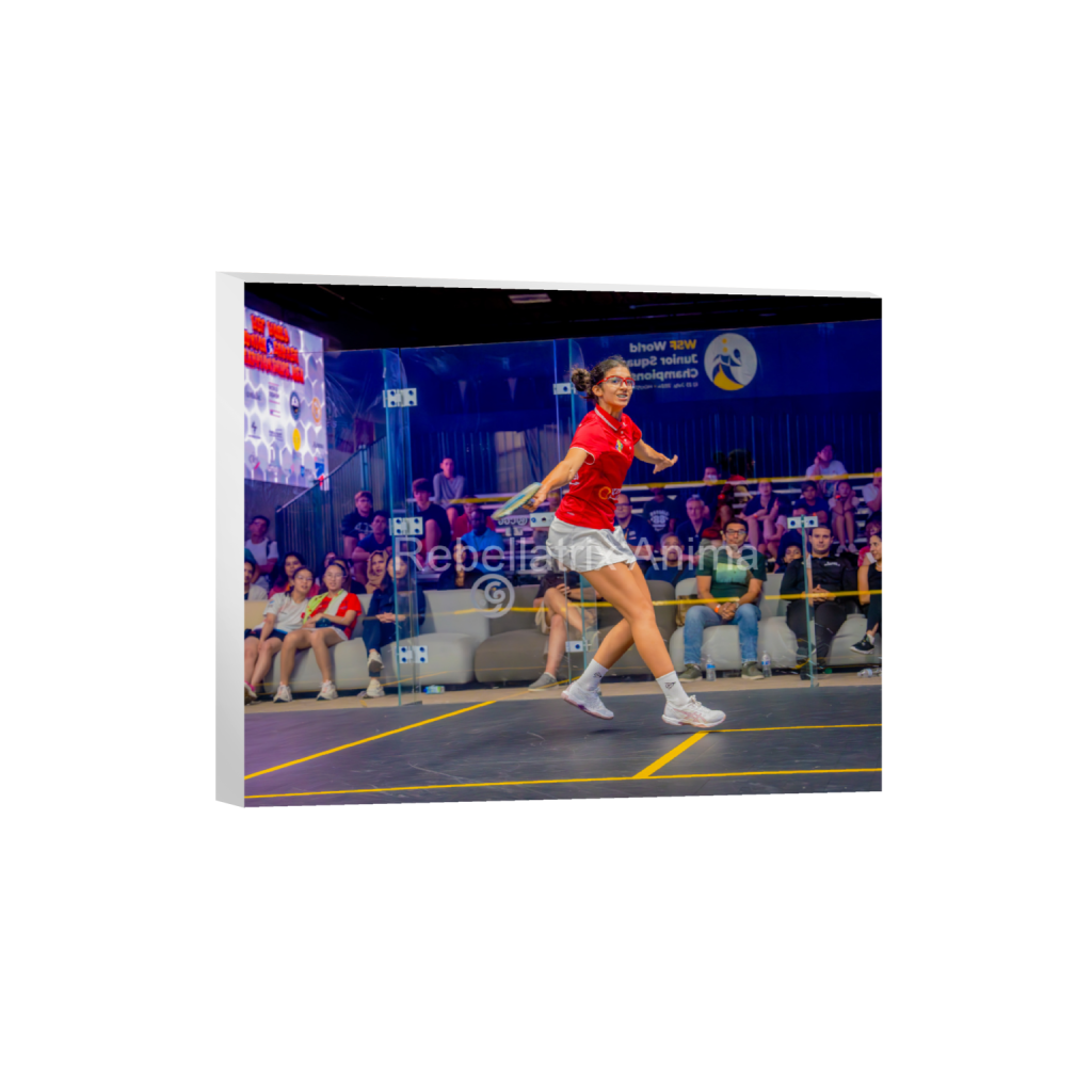ptq_7_6_864_0_6030_4824_0_false_ffffff_0_0_399d79f5099d4643c51074e7c7a1a42a.png