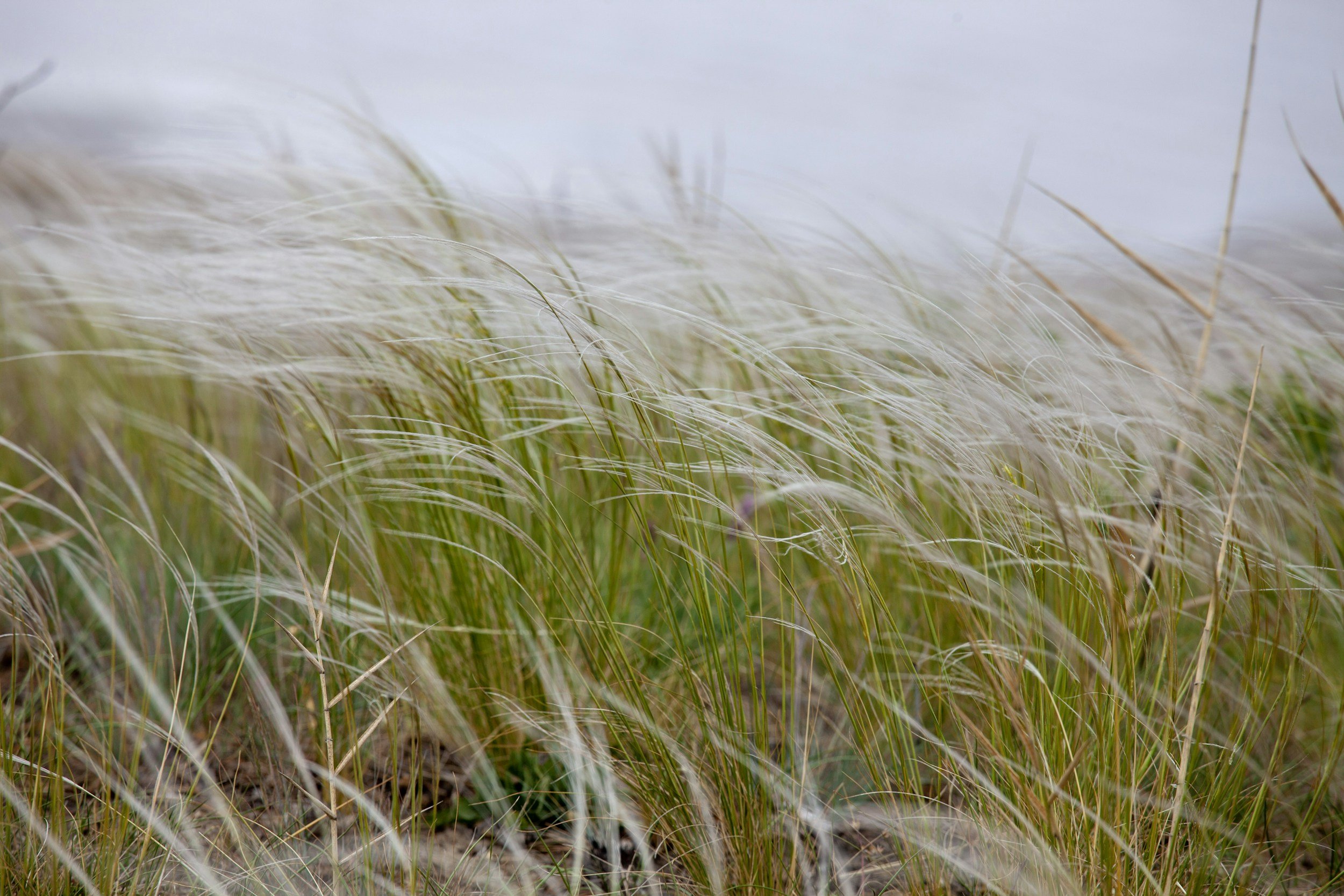 God Squad Prayer Breakfast