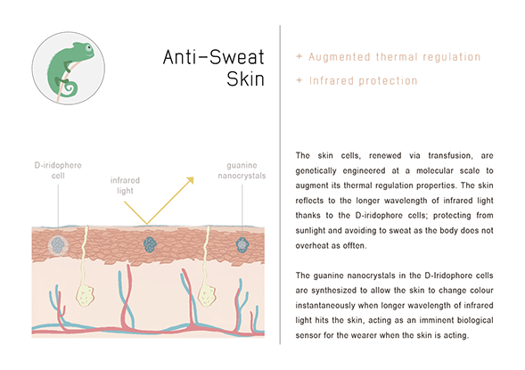 ANTI-SWEAT SKIN - From Speculative Design research TECHOSMETICS & THE SYNTHETIC SKIN SALON.  Diagram of the human skin to showcase the artificially engineered skin with thermal insulation and anti-sweat properties.