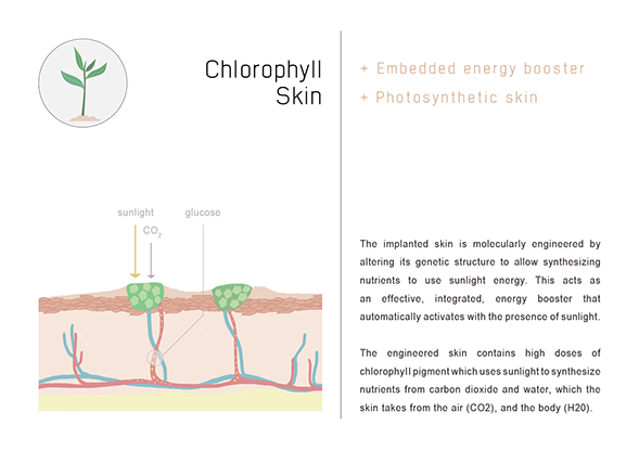 CHLOROPHYLL SKIN - From Speculative Design research TECHOSMETICS & THE SYNTHETIC SKIN SALON.  Diagram of the human skin to indicate sun absorption and nutrient transport through the veins. 