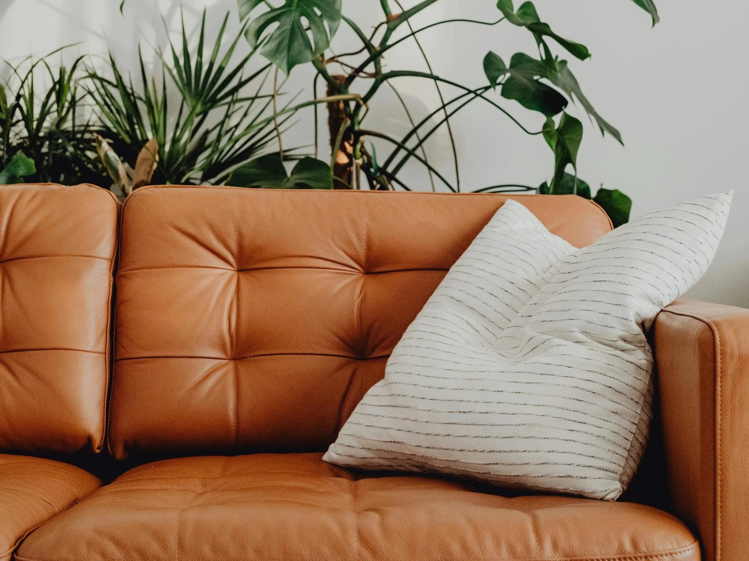 cozy leather sofa therapy room
