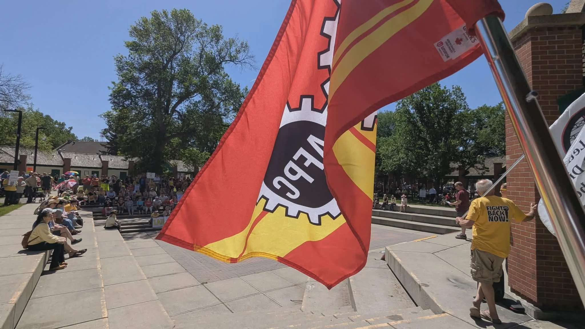 Fight Back Now!