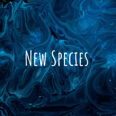 The Shared Practice of Art and Science with Aissa, Nicole, and Kathleen