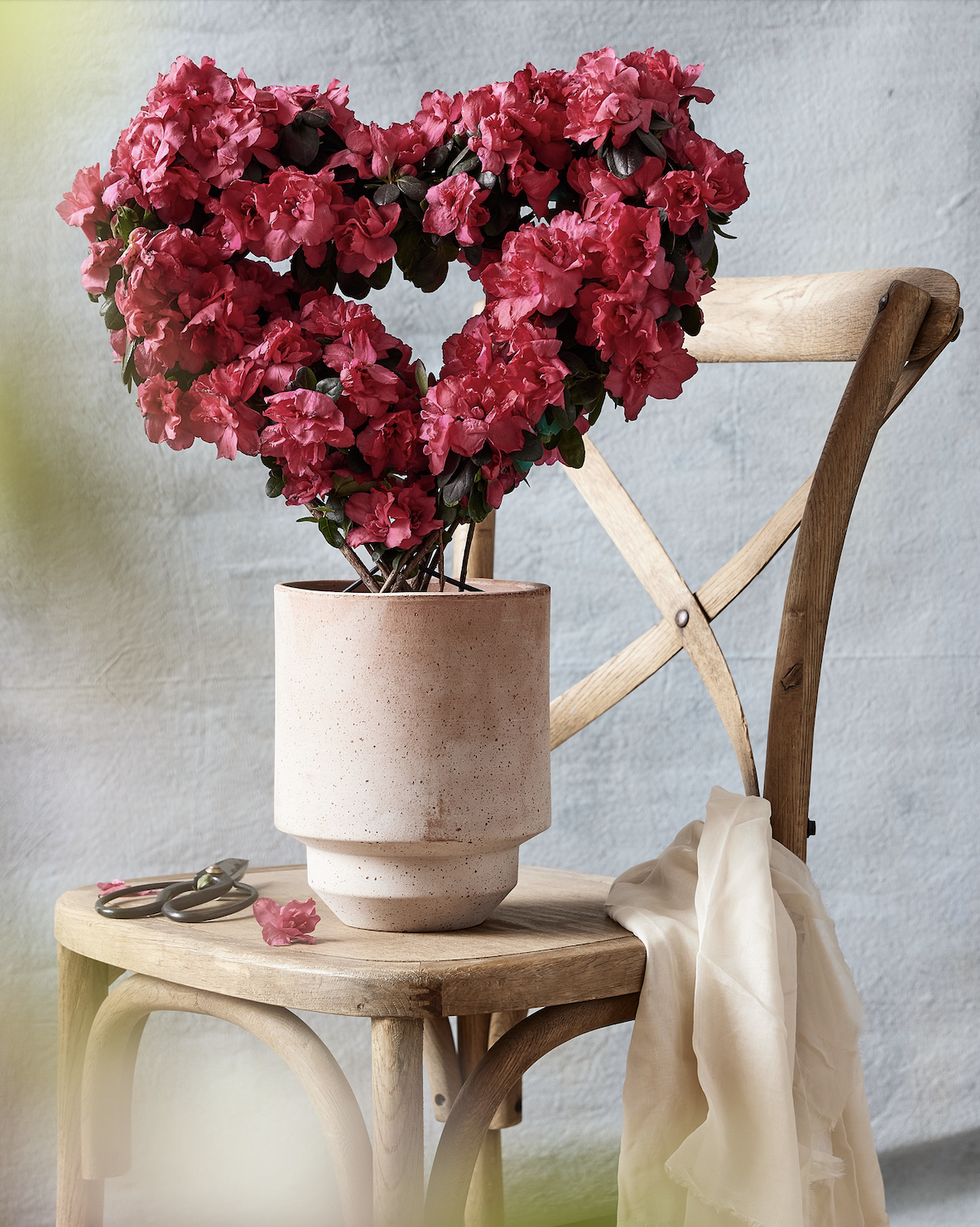 Screen Shot 2026-02-13 at 2.31.08 PM.png