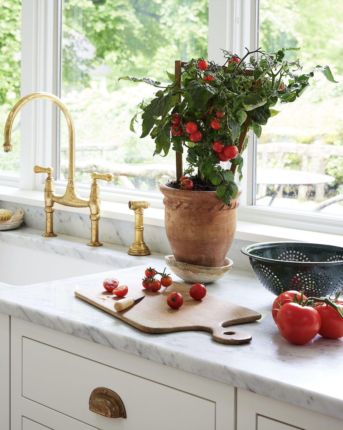 Screen Shot 2026-02-13 at 2.45.56 PM.png