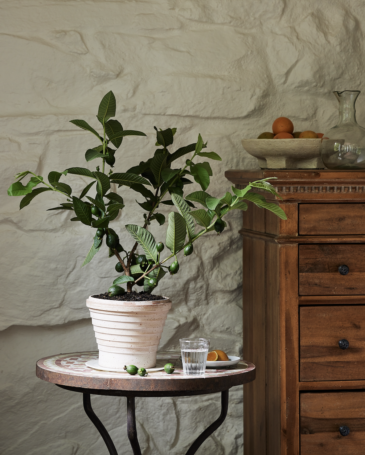 Screen Shot 2026-02-13 at 2.51.24 PM.png