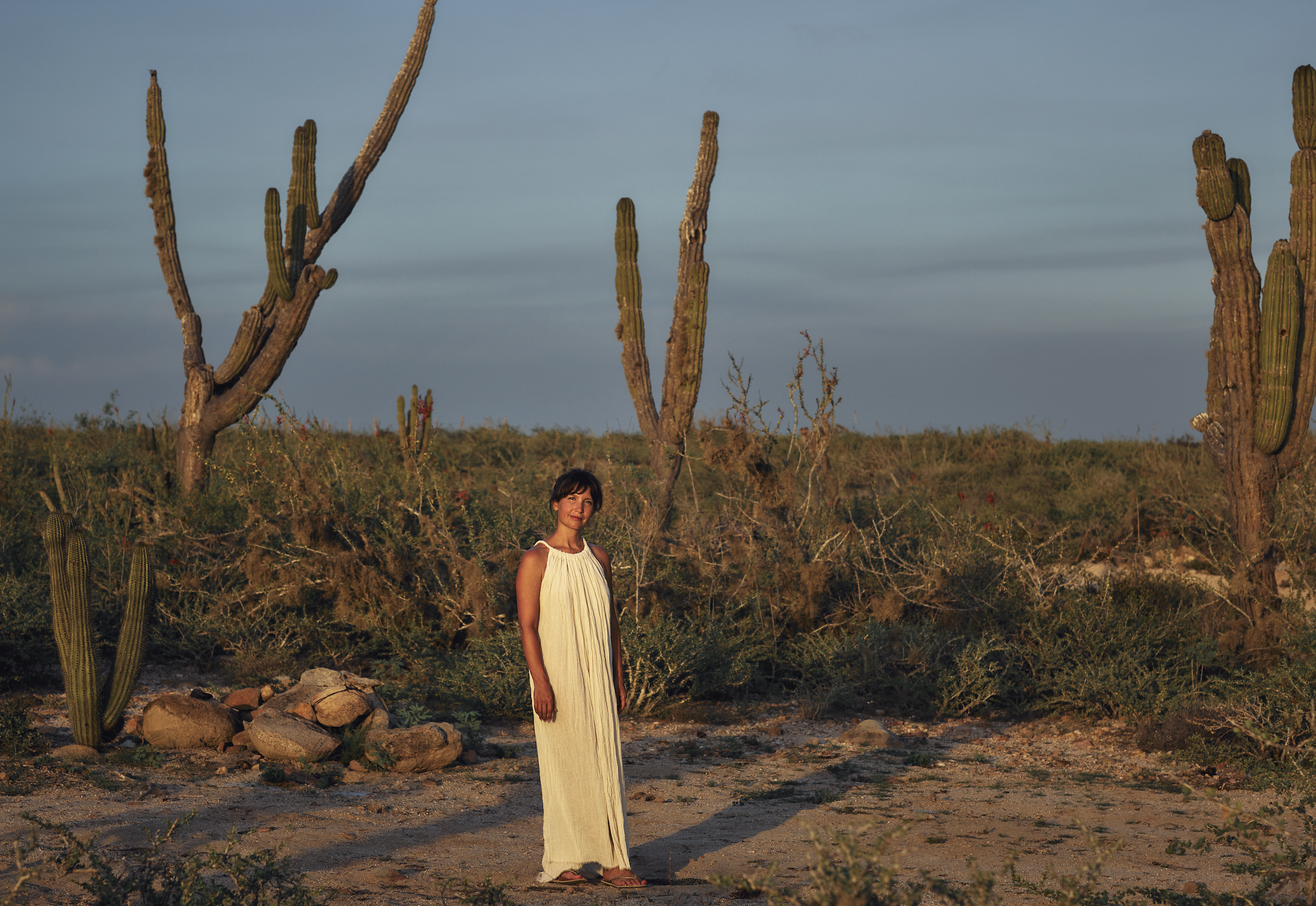 Screen Shot 2026-02-03 at 2.16.50 PM.png