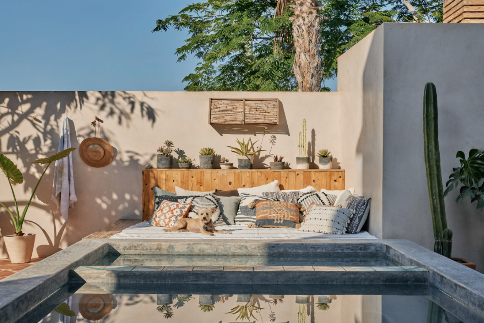 Avenida Baja x Domino