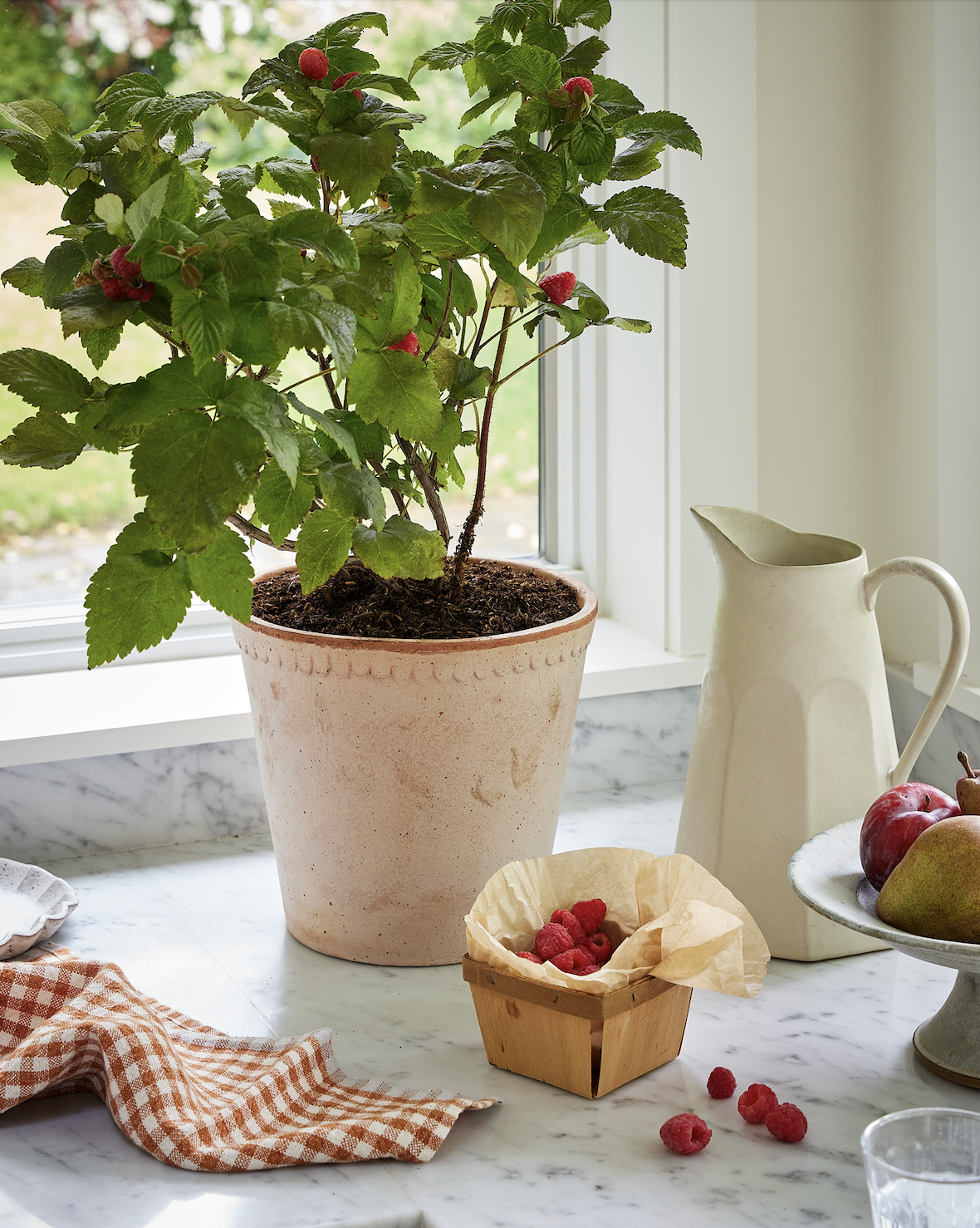 Screen Shot 2026-02-12 at 12.08.48 PM.png