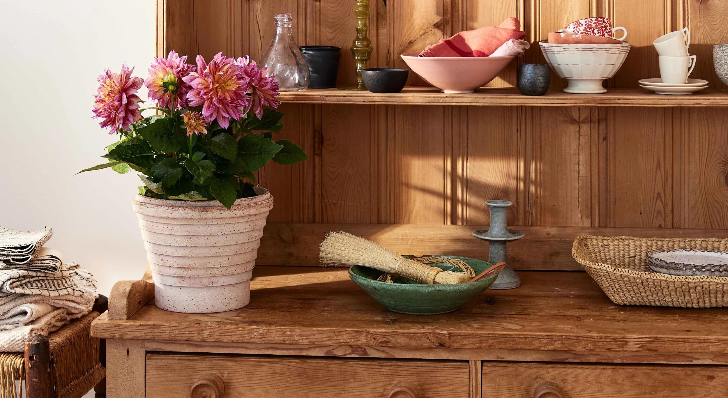 20250224_KateSJordan_Photographer_Dewar_ValentinesDay_0265 copyRT.jpg