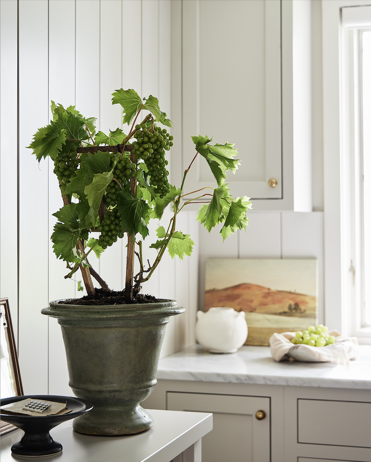 Screen Shot 2026-02-13 at 2.52.02 PM.png