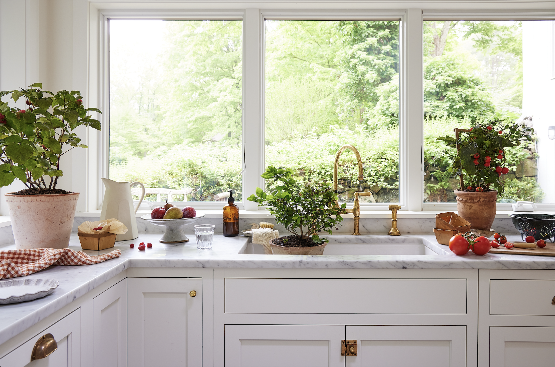 Screen Shot 2026-02-13 at 2.46.12 PM.png