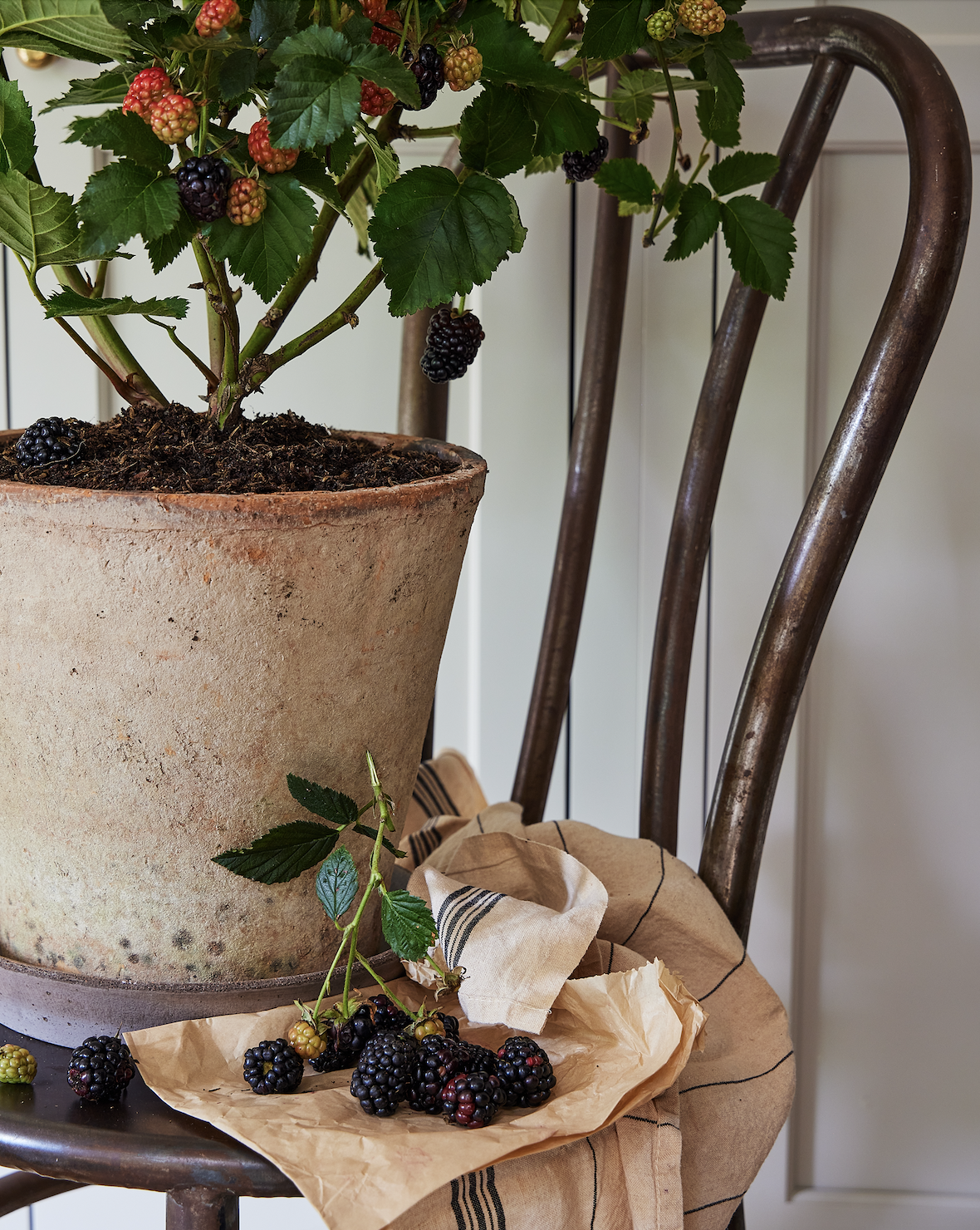 Screen Shot 2026-02-13 at 2.44.27 PM.png