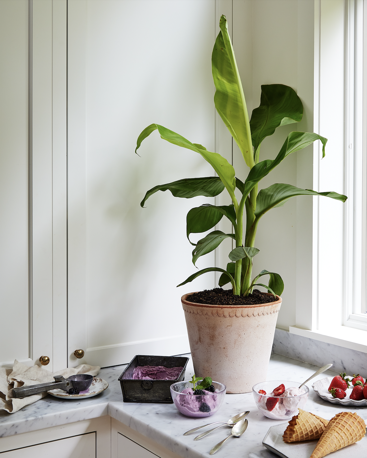 Screen Shot 2026-02-13 at 2.46.28 PM.png