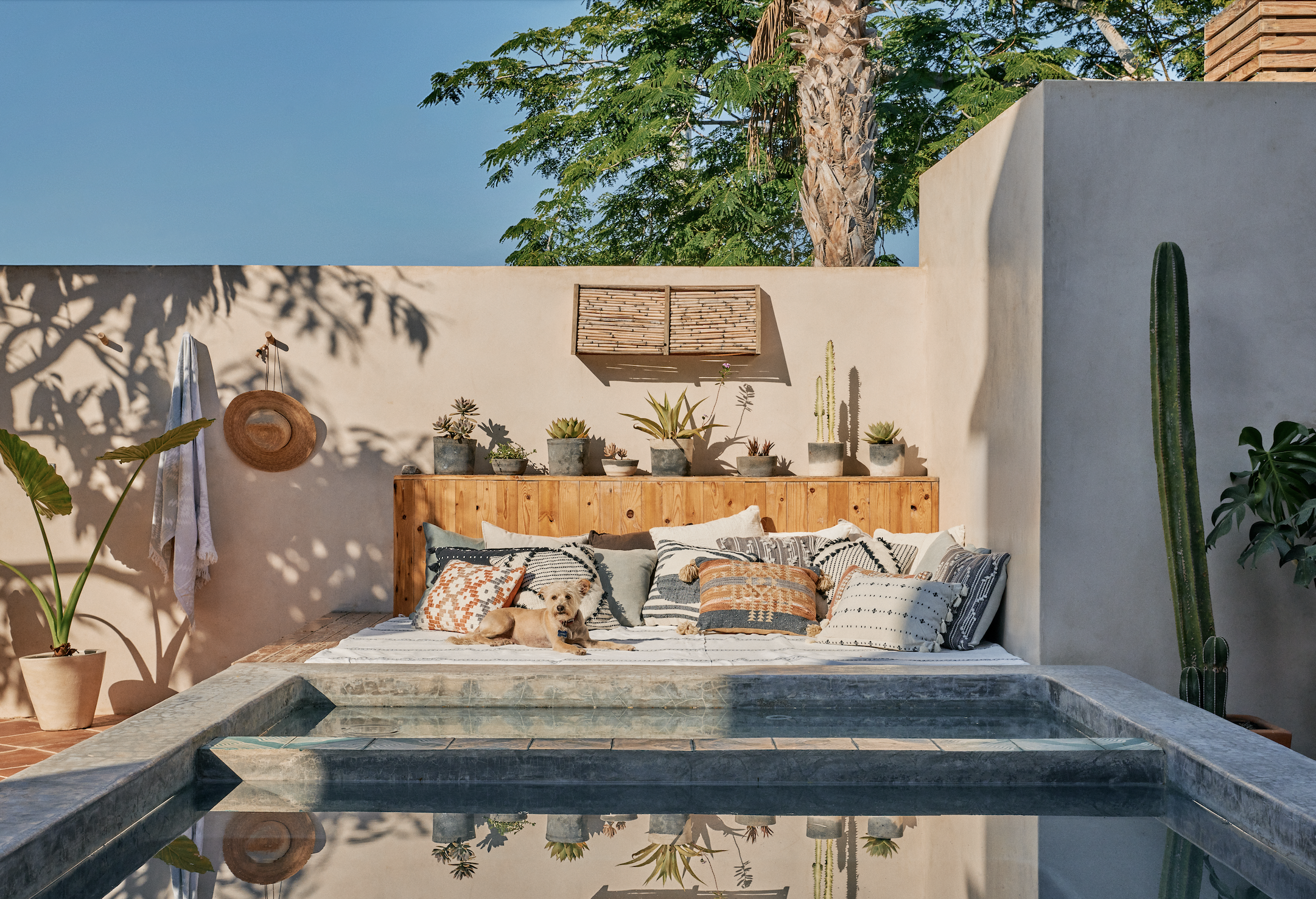 Screen Shot 2026-02-03 at 1.14.01 PM.png