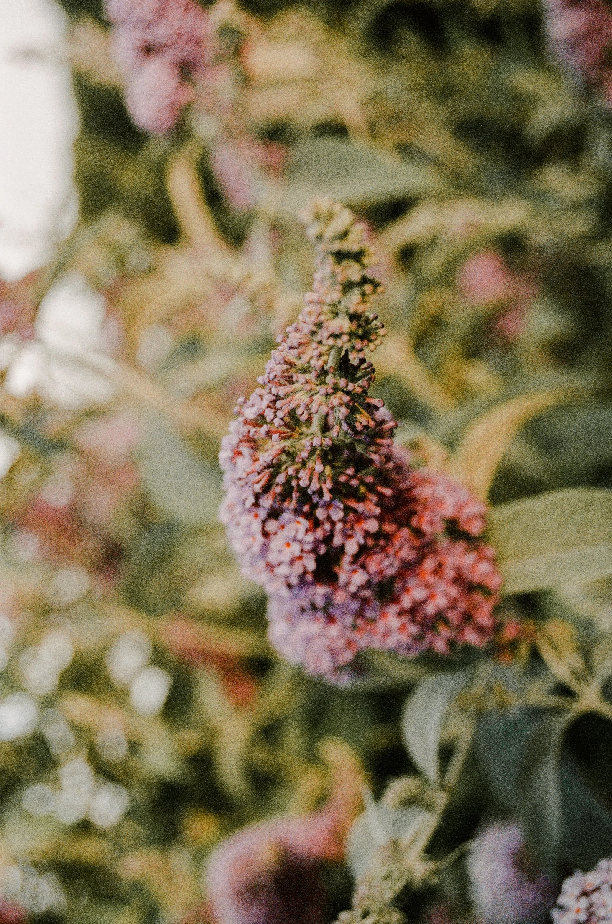 000045640018 copy.jpg