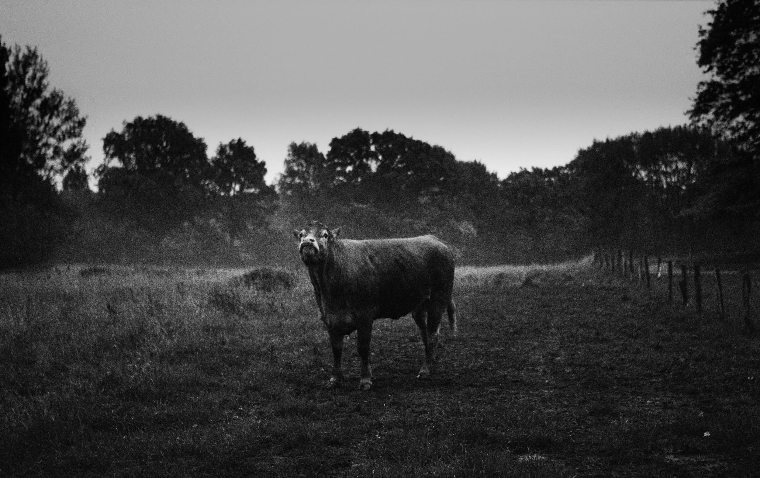 000035210024 copy.jpg