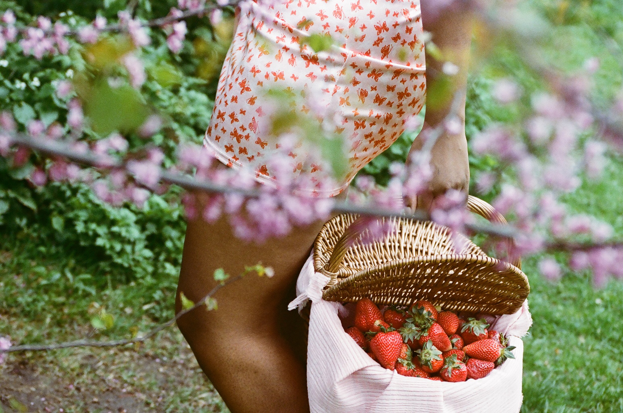 picnic basket filled with strawberries