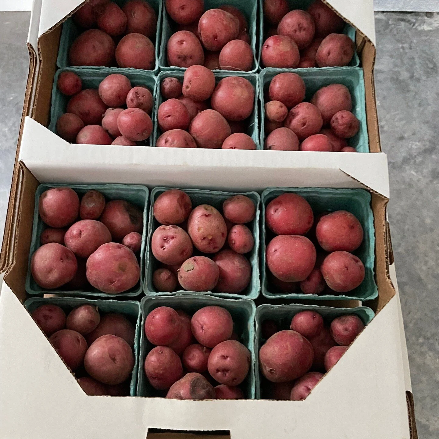 Amazing Grace Orchard Peaches, Fruits & Vegetables Waverly, MO