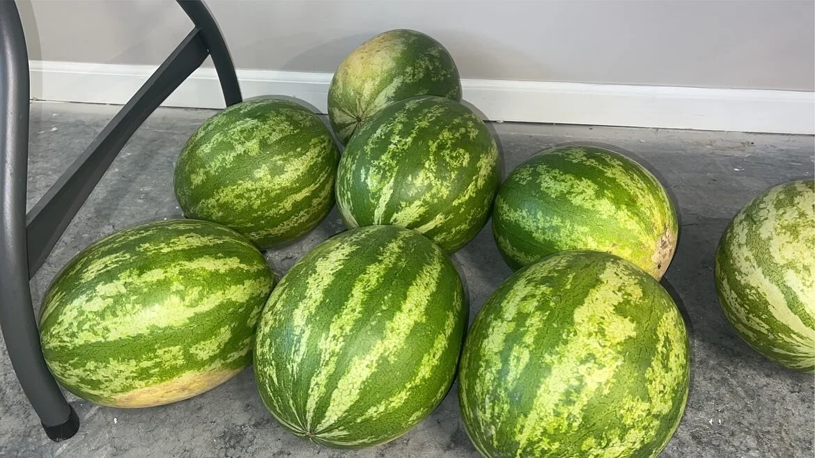 Amazing Grace Orchard Peaches, Fruits & Vegetables Waverly, MO