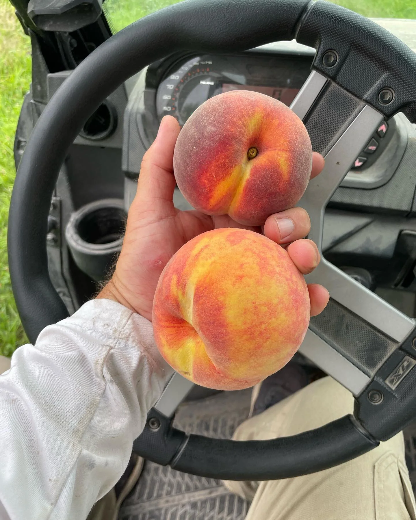 Amazing Grace Orchard Peaches, Fruits & Vegetables Waverly, MO