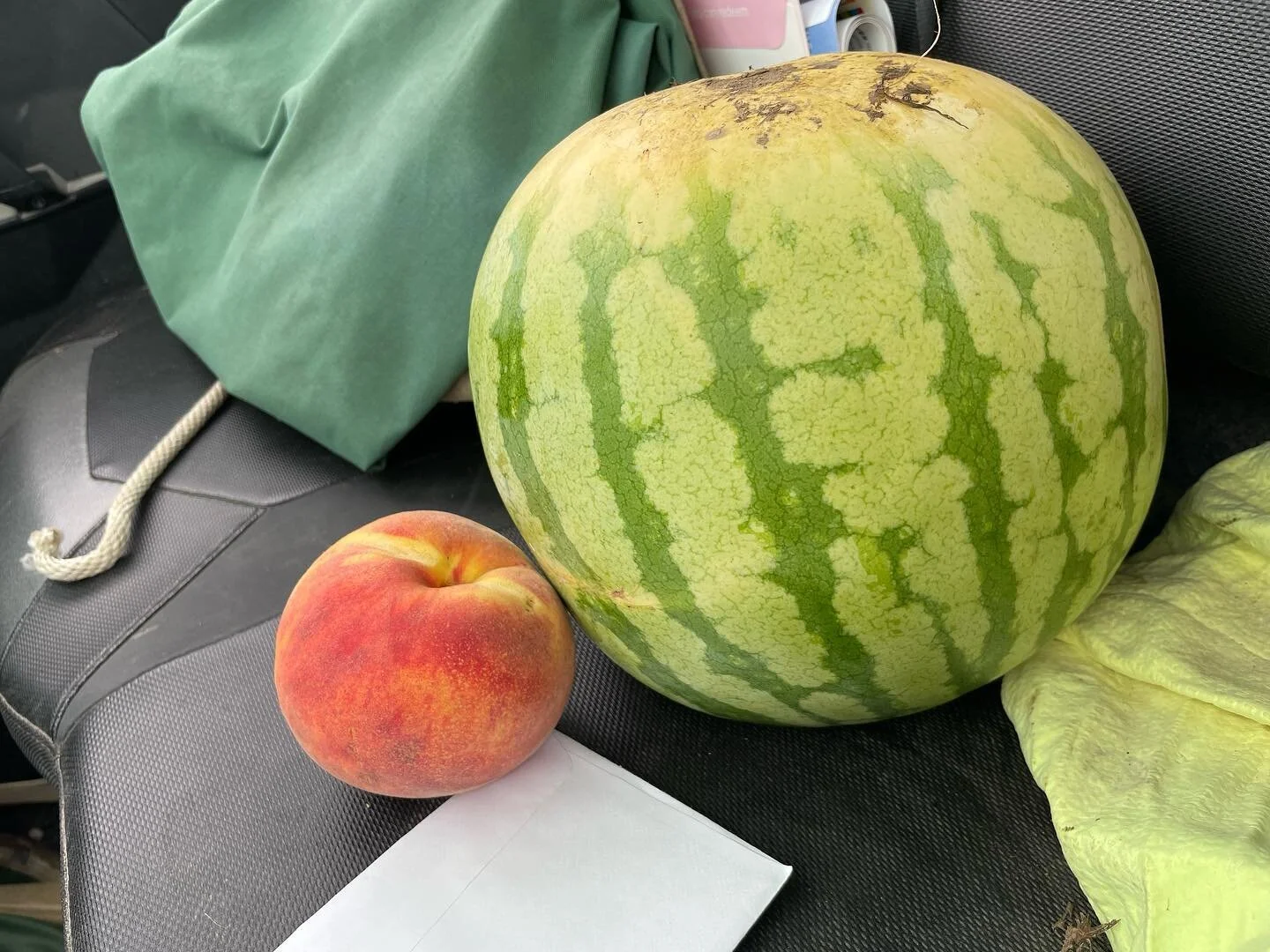 Amazing Grace Orchard Peaches, Fruits & Vegetables Waverly, MO