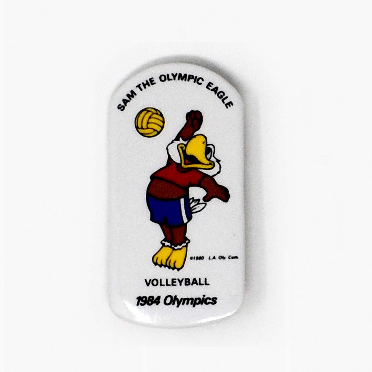 SamVolleyball.jpg