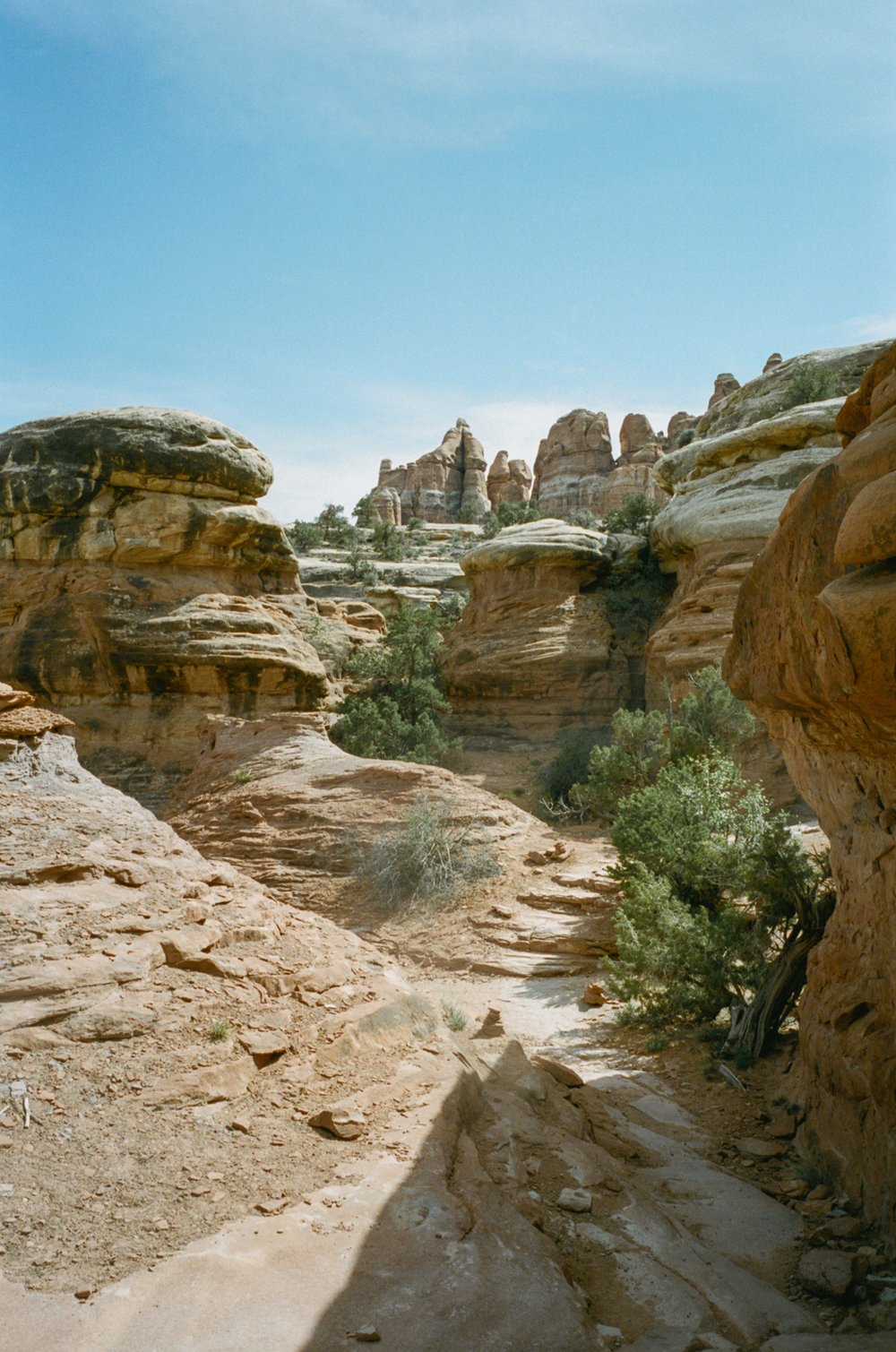 Chesler Park Trail, Canyonlands
