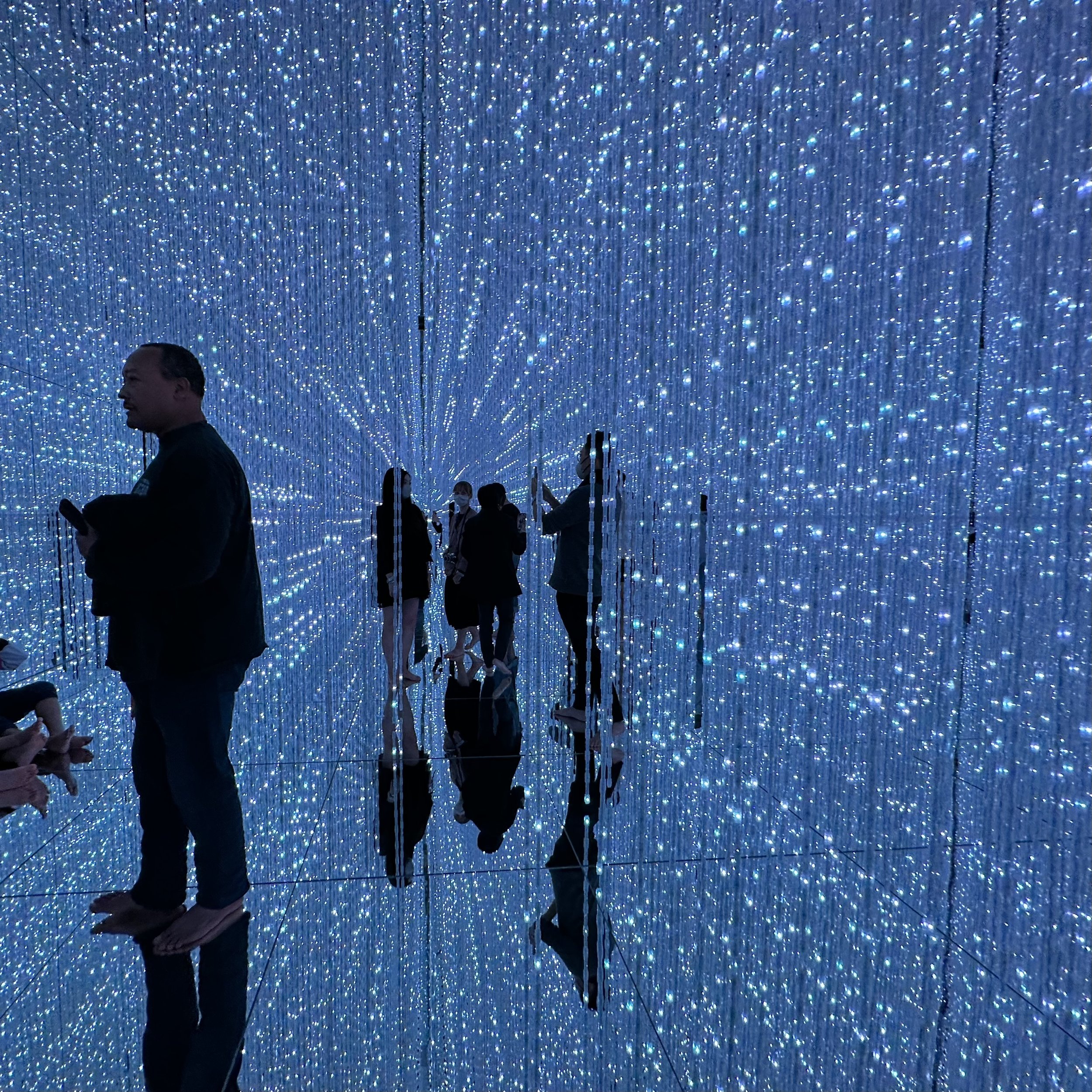 Tripping at Teamlab