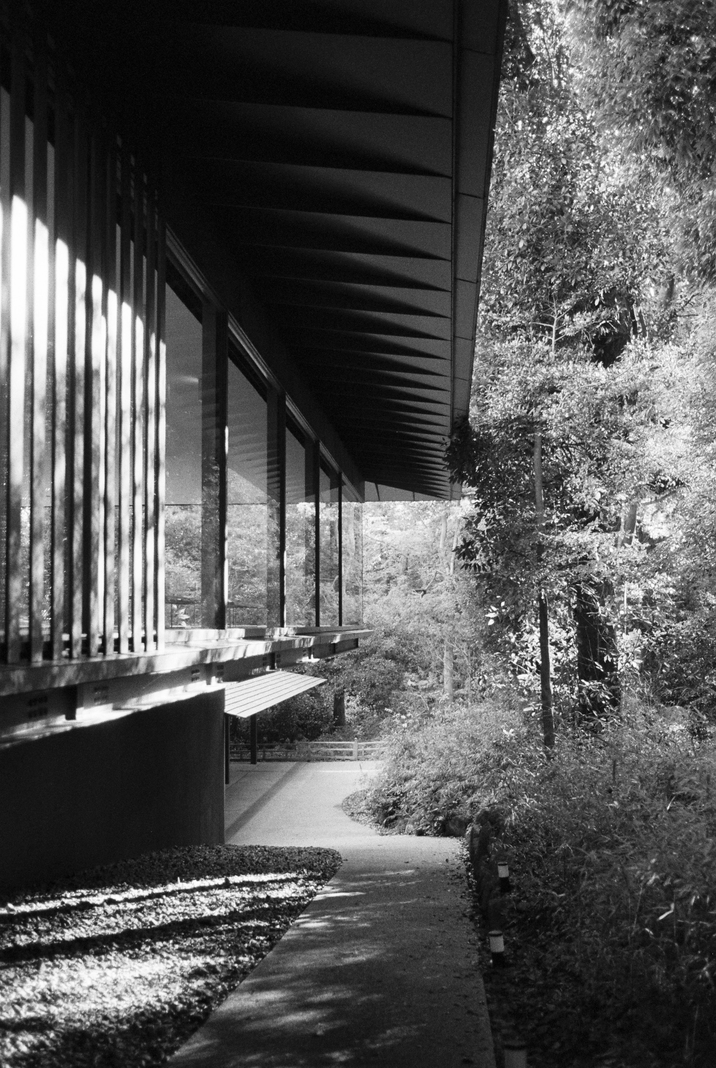 Kuma Kengo's Meij Jingu Museum