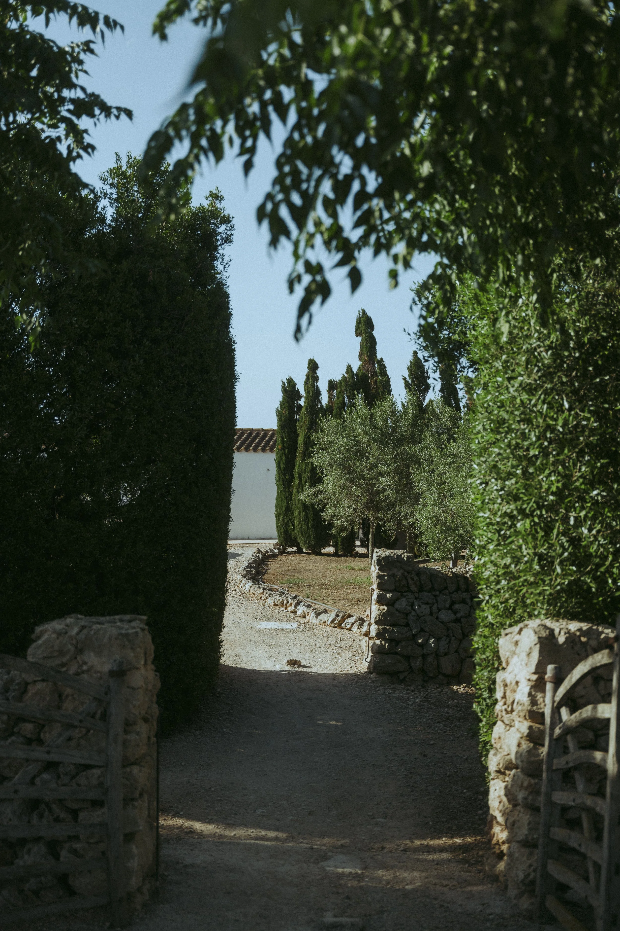 L1060356.jpg