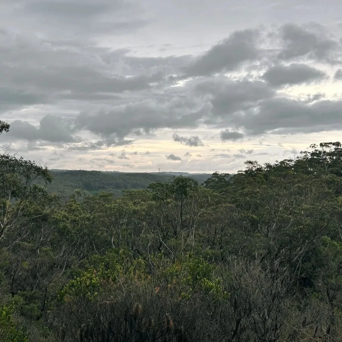 Do we travel for projects?
Lucky to have spent the last three days visiting....
✅ Hunter Valley - off grid new build
✅ Blue Mountains - passive BAL40 new build
✅ Central Coast - full renovation and reconfiguration 
Back to Armidale to hit the ground 