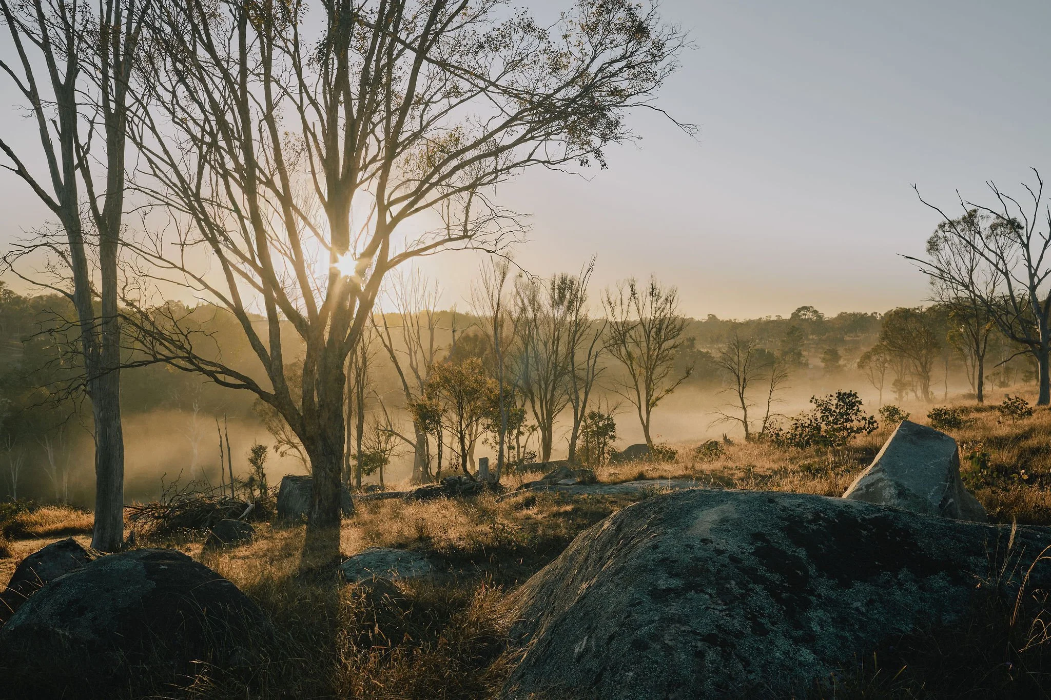 EPICARCHITECTURE_URALLA2026©ANDYMACPHERSON-23.jpg