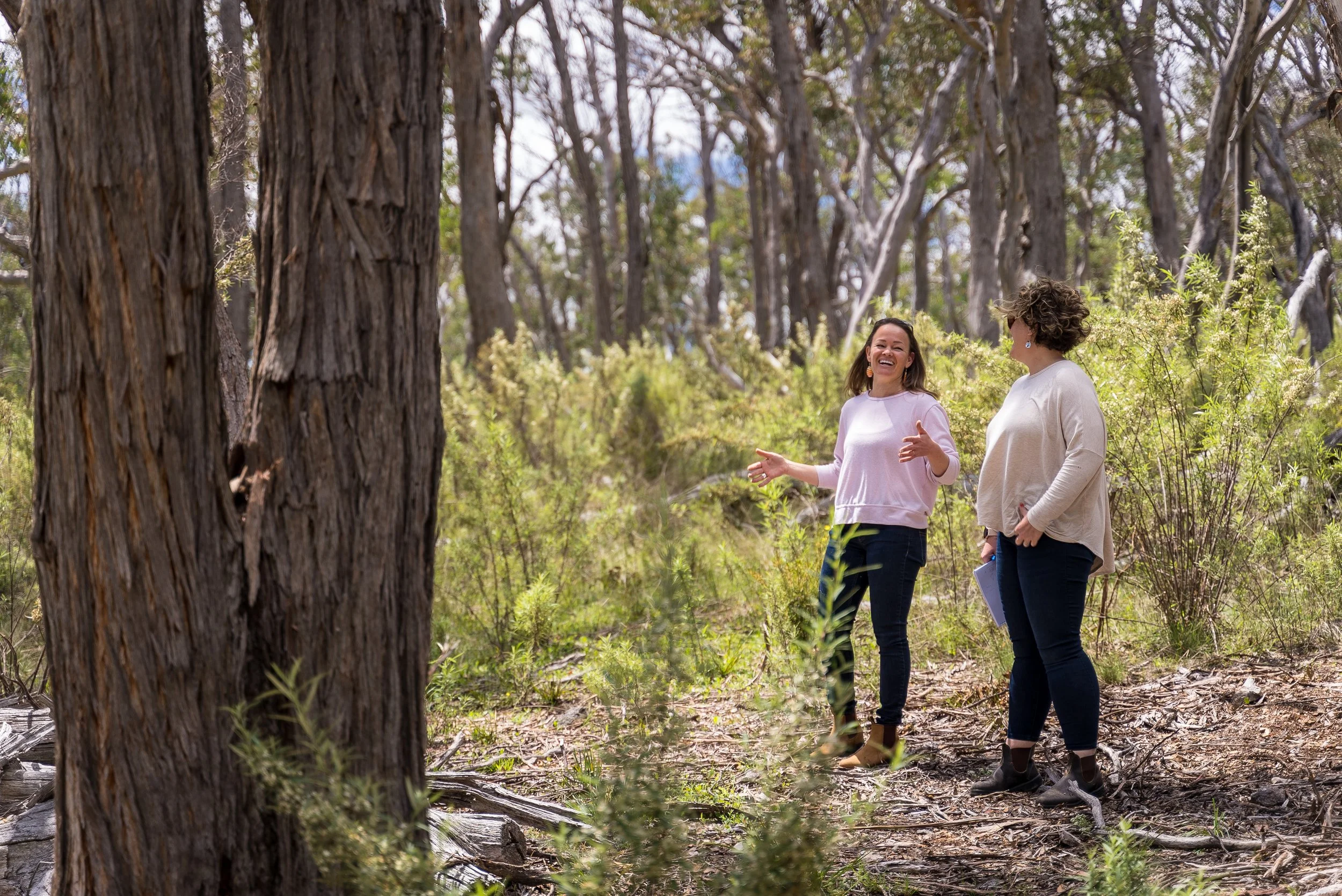 View of 9 Stellar Homes That Venture Off-Grid - Dwell