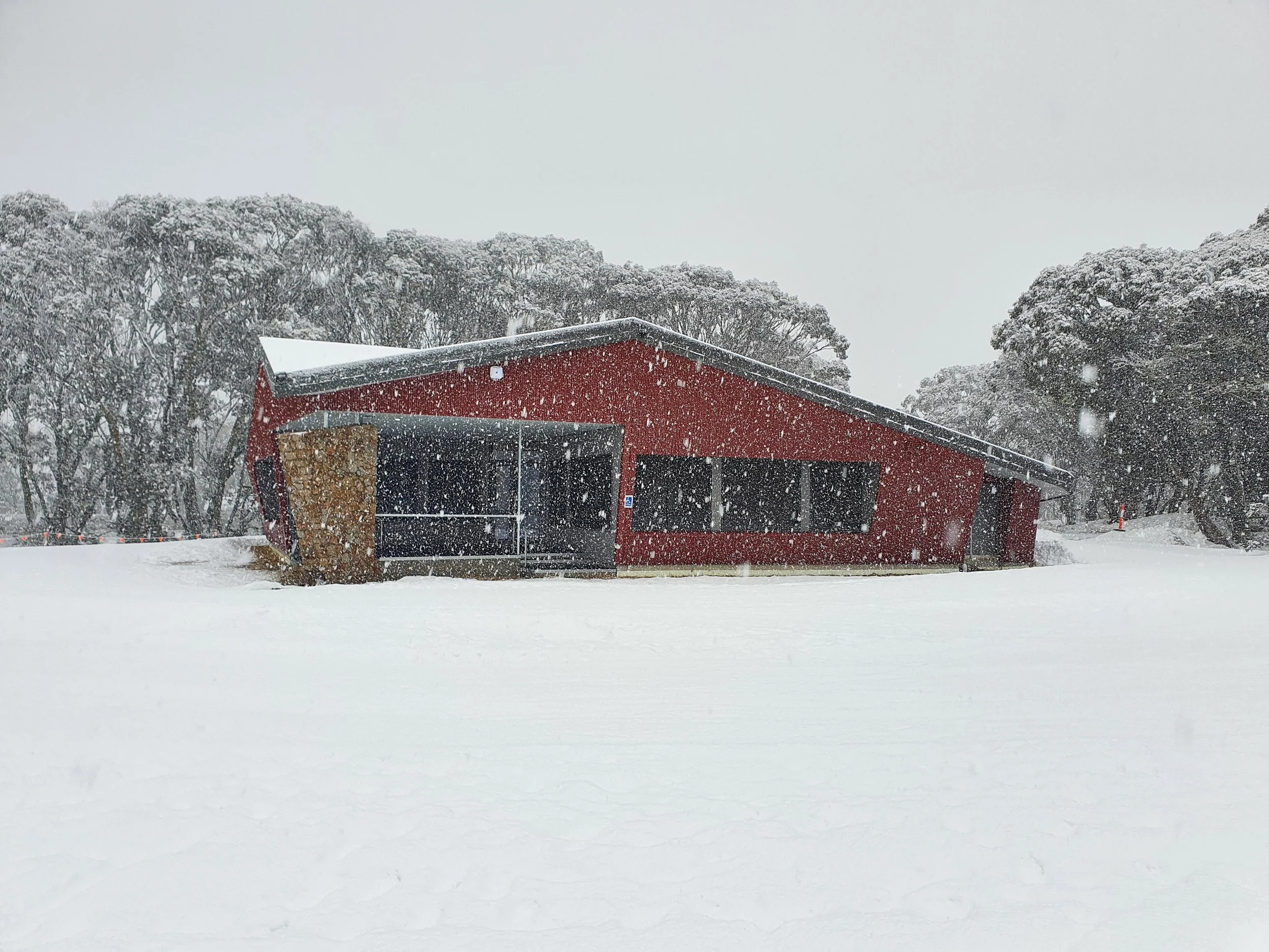 The Moth in snow 2.jpg