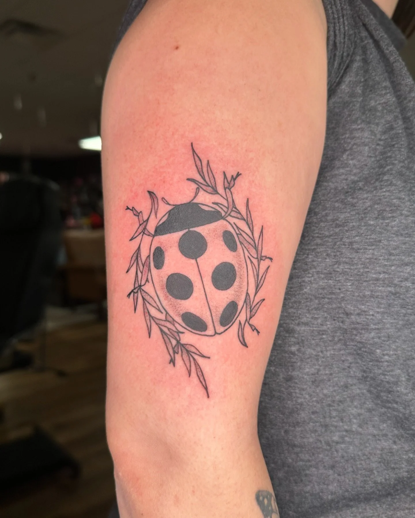 Sweet lady bug for Jordan 🐞❤️
Thanks so much for working with me on this cutie! And two others in the same sitting!!)
Booking December @darkartstattoomd just sent a DM or my booking form to grab a spot ❤️
#baltimoretattoos #marylandtattoos #ladyta