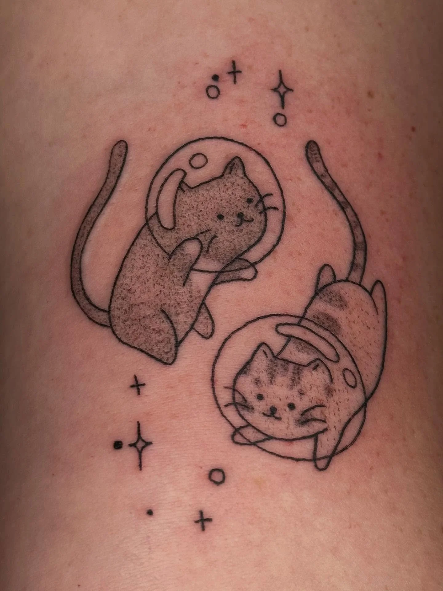 Cutie matching space cats for Emily & Erin!!!π±π±πͺ
Booking October and November @darkartstattoomd just send a DM or my booking form for a spotπ